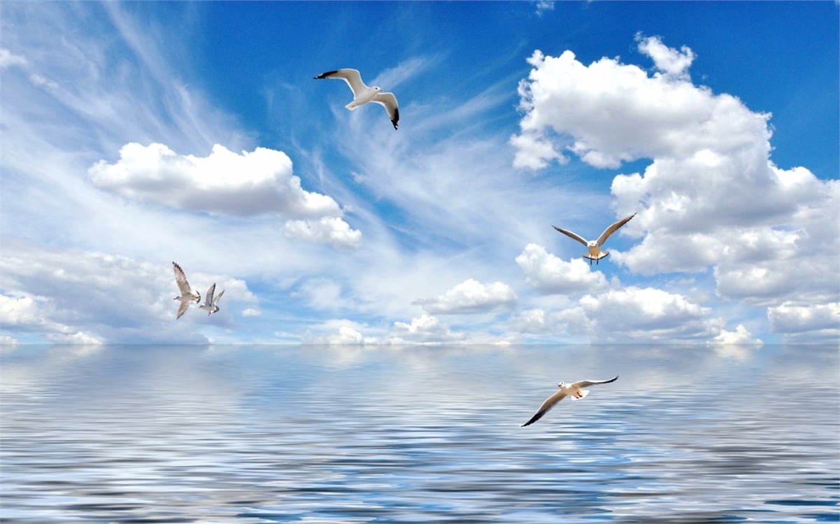 Gökyüzü Duvar KağıtlarıGökyüzü Duvar Kağıdı