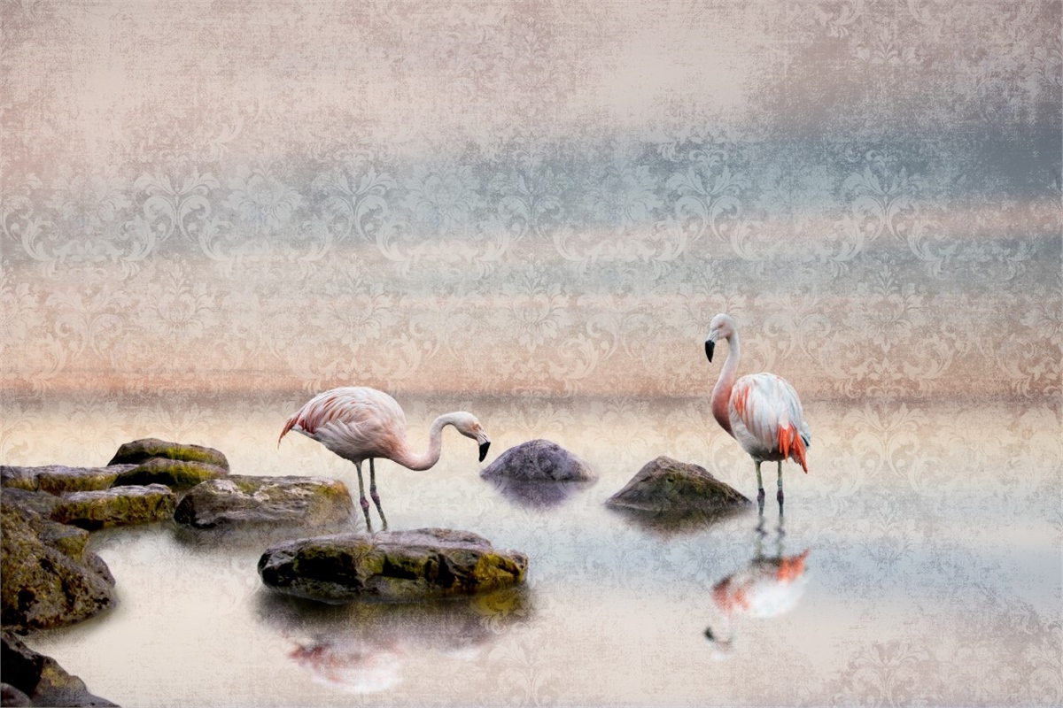 Hayvanlar Duvar KağıdıHayvanlar Duvar Kağıdı