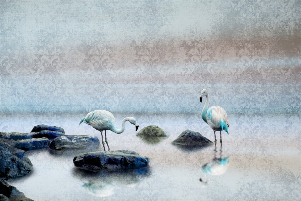 Hayvanlar Duvar KağıdıHayvanlar Duvar Kağıdı