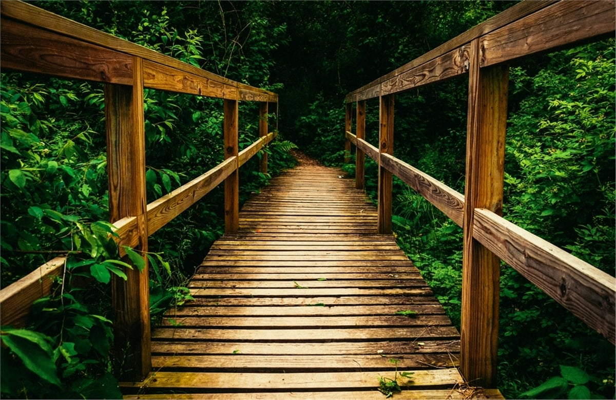 Manzara Duvar KağıtlarıManzara Duvar Kağıdı