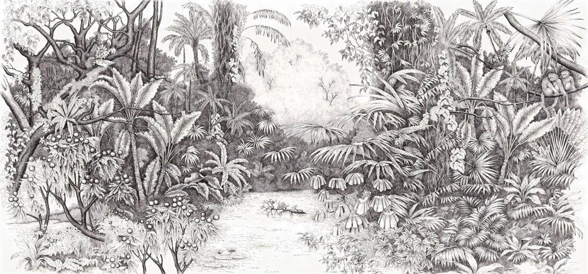 Tropikal Duvar KağıtlarıTropikal Duvar Kağıdı