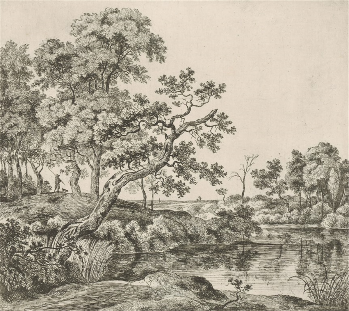 Tropikal Duvar Kağıtları 2Tropikal Duvar Kağıdı