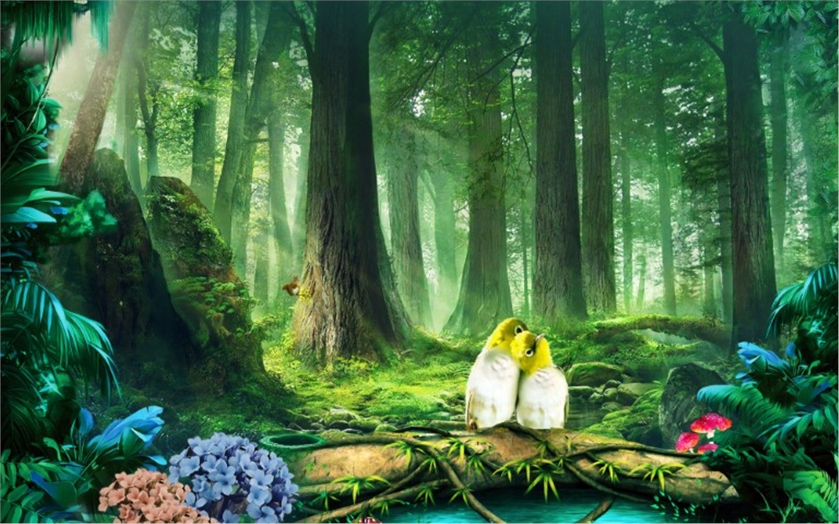 Tropikal Duvar KağıtlarıTropikal Duvar Kağıdı