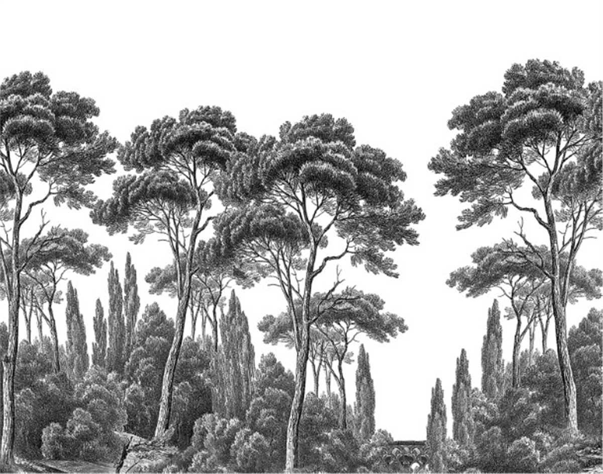 Tropikal Duvar KağıtlarıTropikal Duvar Kağıdı