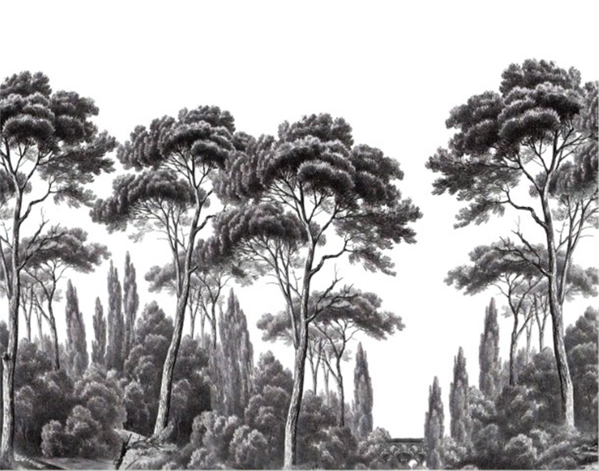 Tropikal Duvar KağıtlarıTropikal Duvar Kağıdı