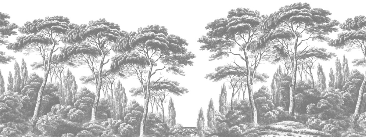 Tropikal Duvar Kağıtları 2Tropikal Duvar Kağıdı