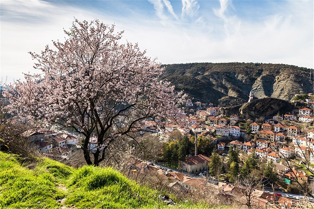 Türkiye Duvar KağıdıTürkiye Duvar Kağıdı