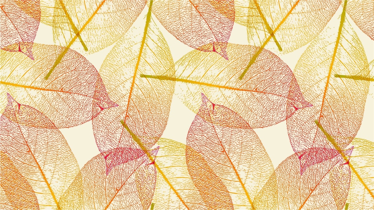 Vektörel Duvar KağıtlarıVektörel Duvar Kağıdı