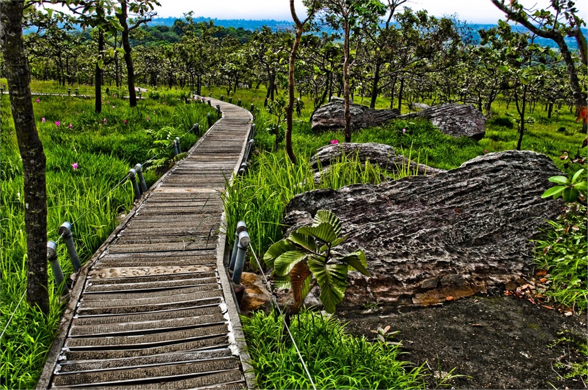Yol Duvar KağıtlarıYol Duvar Kağıdı