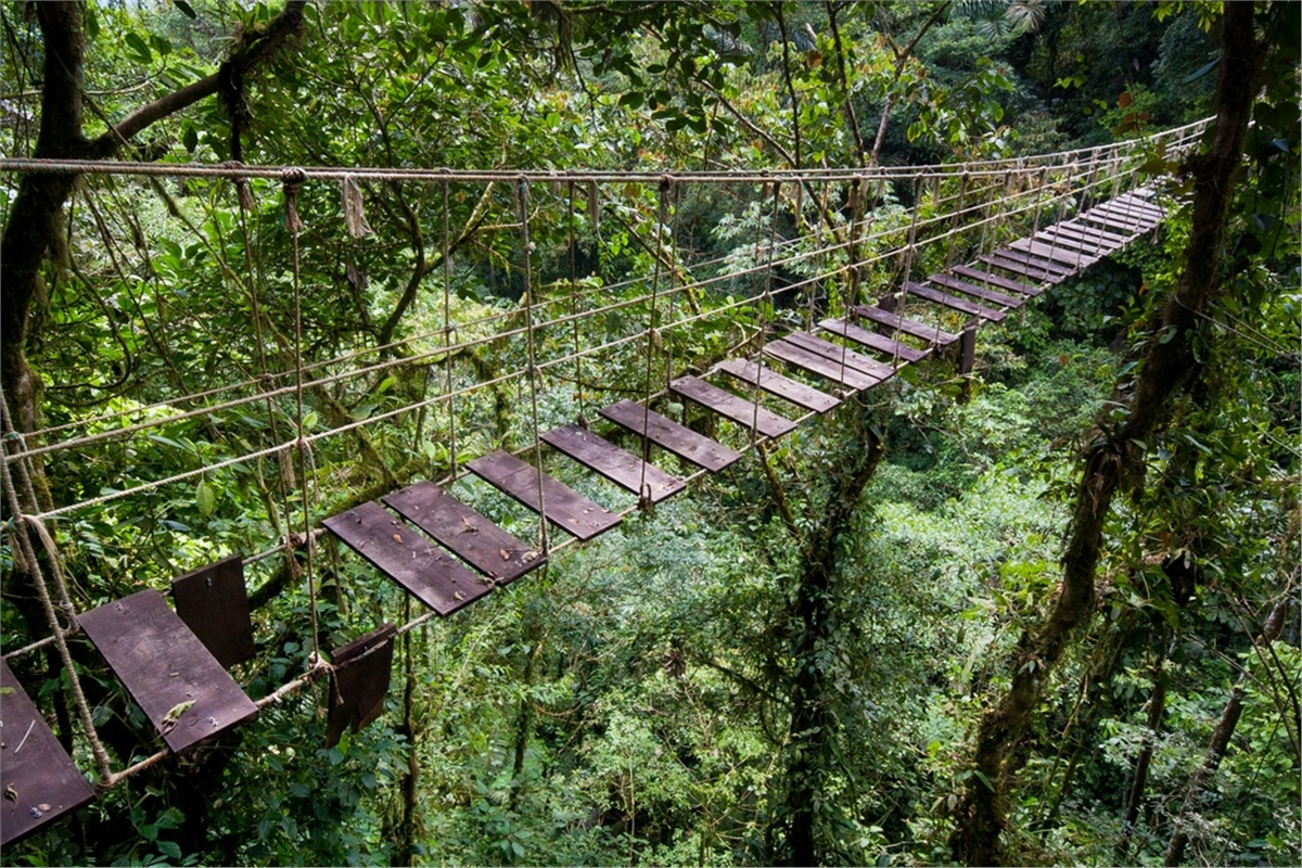 Yol Duvar KağıtlarıYol Duvar Kağıdı