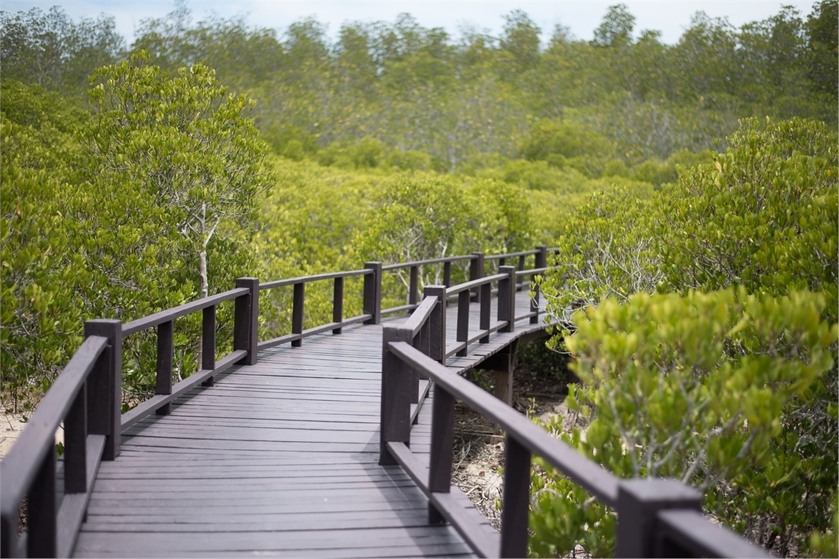 Yol Duvar KağıtlarıYol Duvar Kağıdı