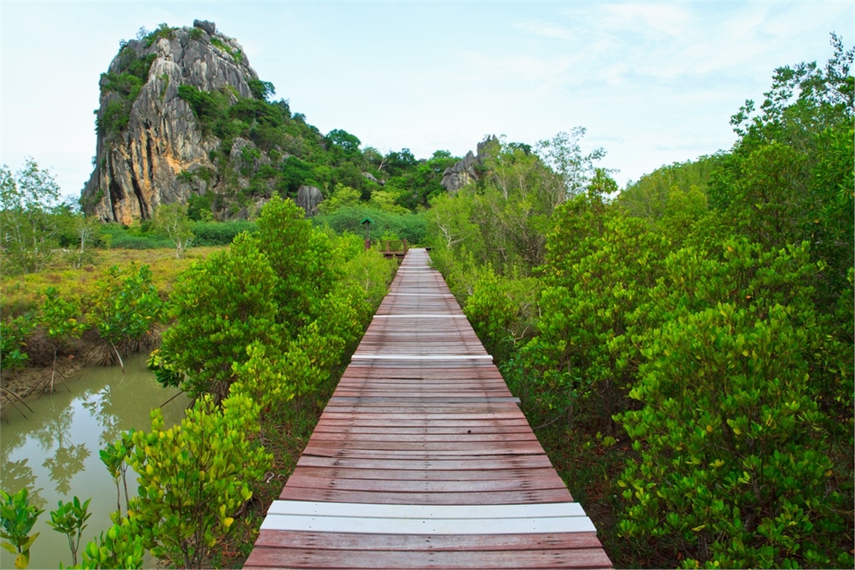 Yol Duvar KağıtlarıYol Duvar Kağıdı