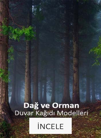 Dağ ve Orman Duvar Kağıtları