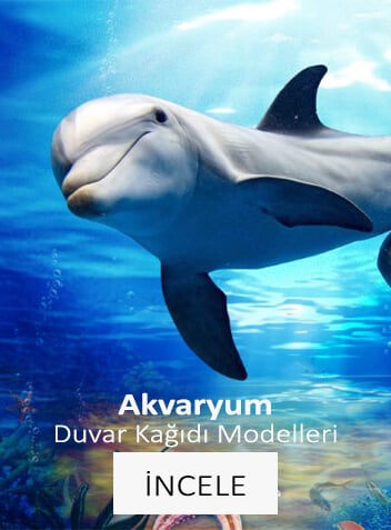 Akvaryum Duvar Kağıtları