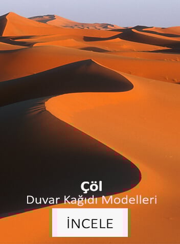 Çöl Duvar Kağıtları