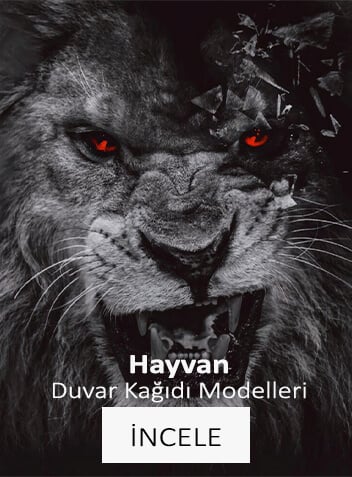 Hayvan Duvar Kağıtları