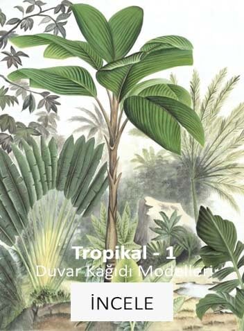 Tropikal Duvar Kağıtları