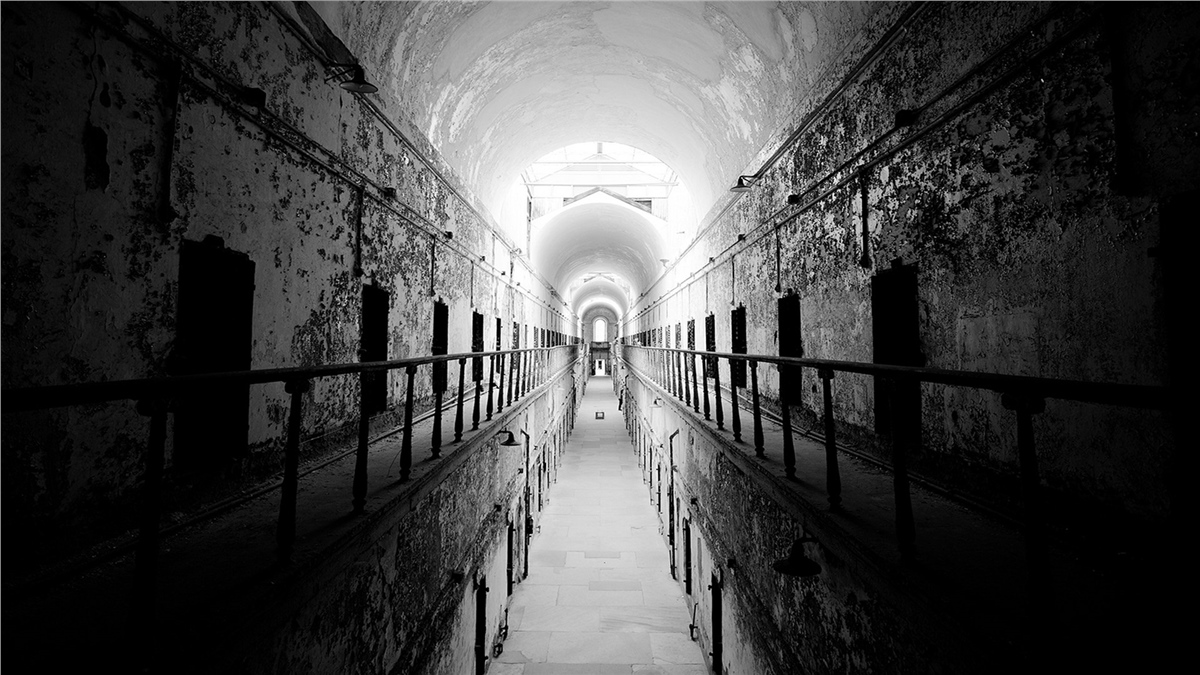 3 Boyutlu Duvar Kağıtları3 Boyutlu Duvar Kağıdı