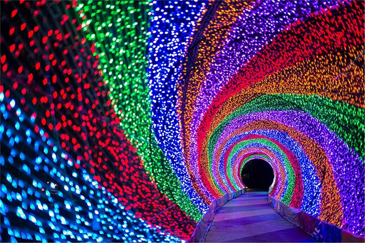 3 Boyutlu Duvar Kağıtları3 Boyutlu Duvar Kağıdı