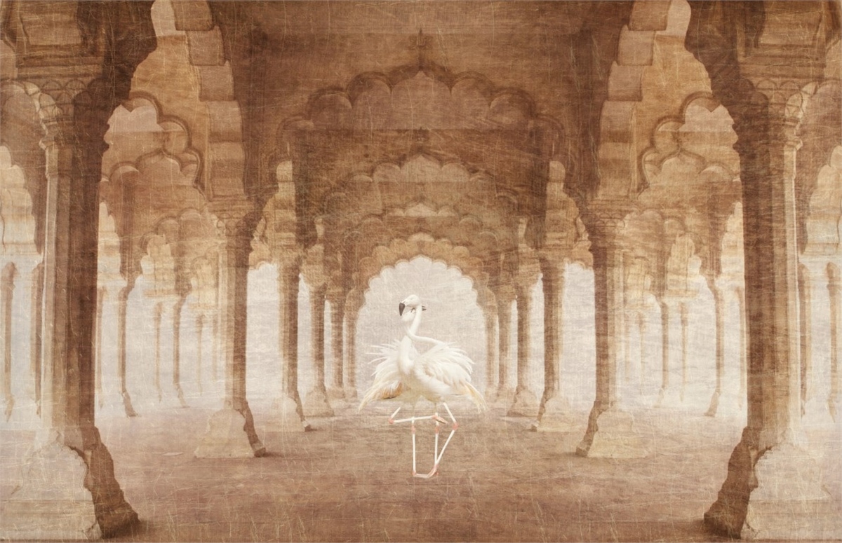 3 Boyutlu Duvar Kağıtları3 Boyutlu Duvar Kağıdı