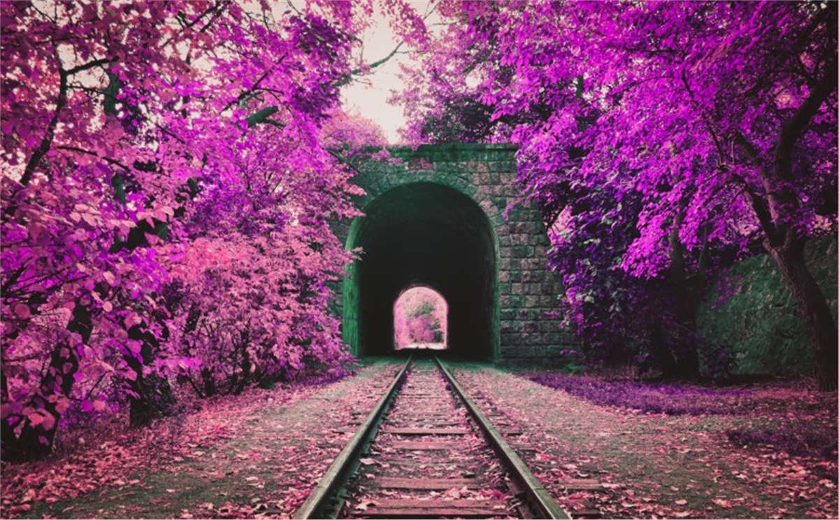 3 Boyutlu Duvar Kağıtları3 Boyutlu Duvar Kağıdı