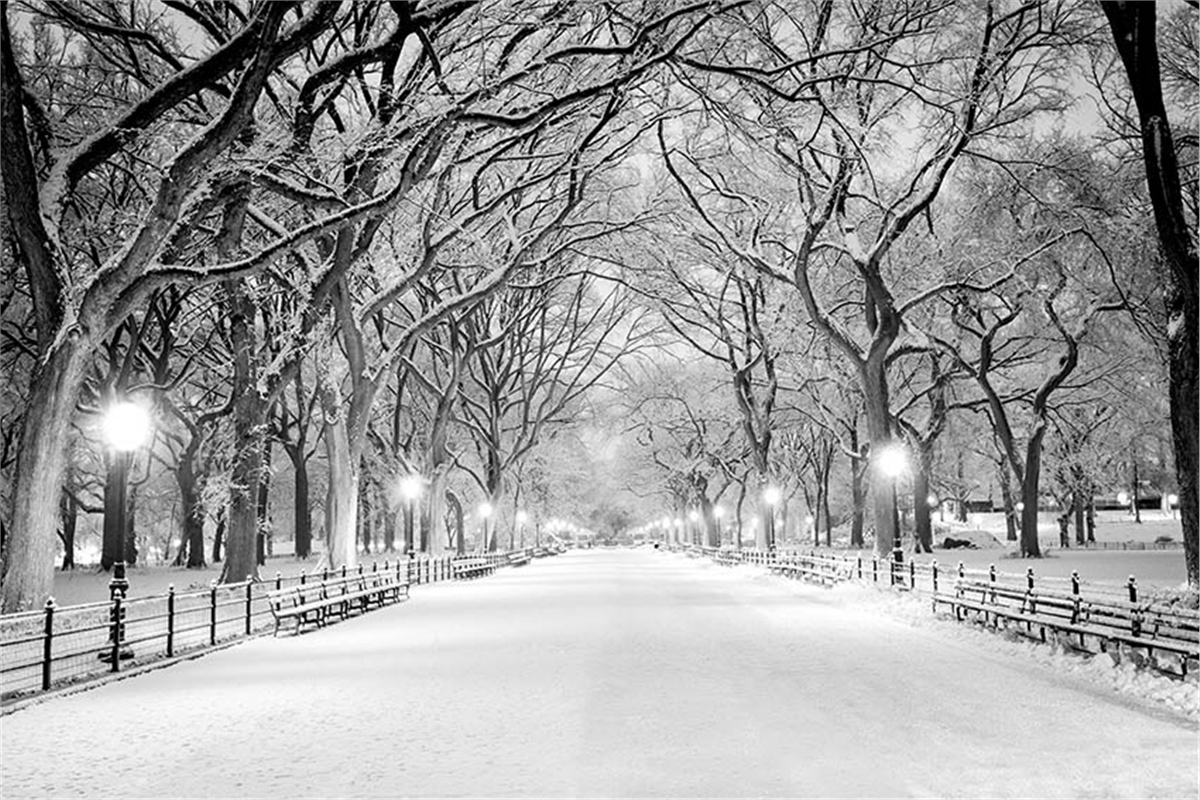 3 Boyutlu Duvar Kağıtları3 Boyutlu Duvar Kağıdı