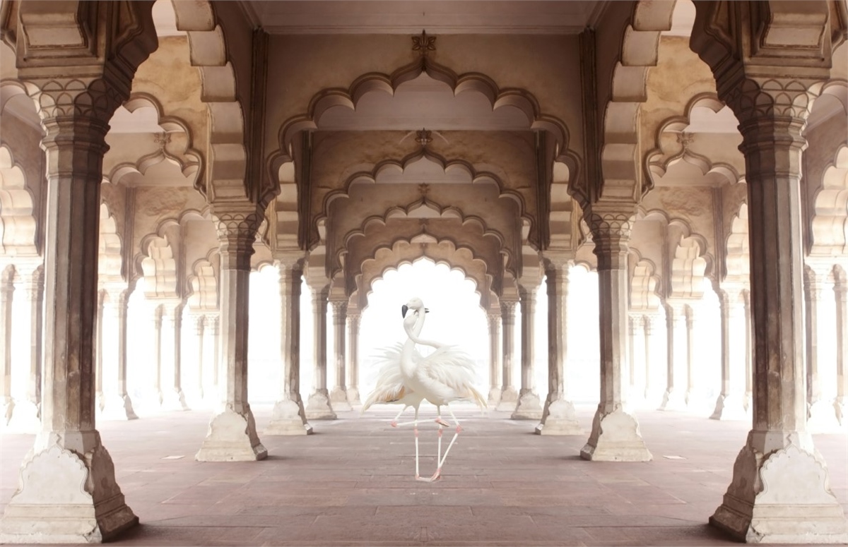 3 Boyutlu Duvar Kağıtları3 Boyutlu Duvar Kağıdı