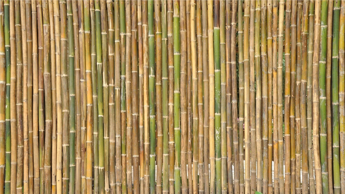 Ahşap Duvar KağıtlarıAhşap Duvar Kağıdı