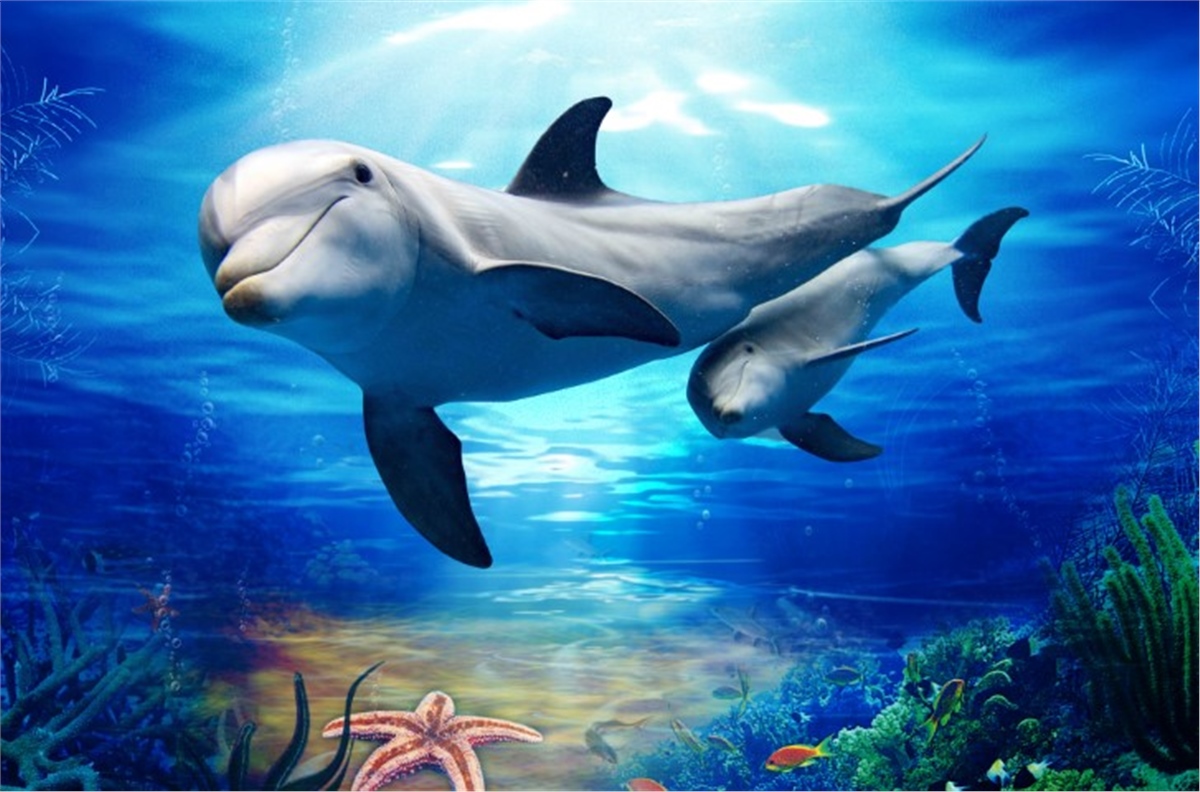 Akvaryum Duvar KağıtlarıAkvaryum Duvar Kağıdı