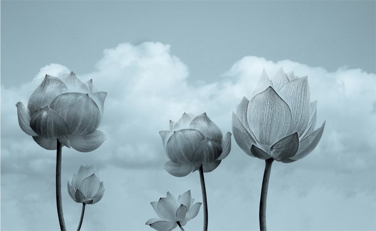 Çiçek Duvar Kağıtari 3Çiçek Duvar Kağıdı