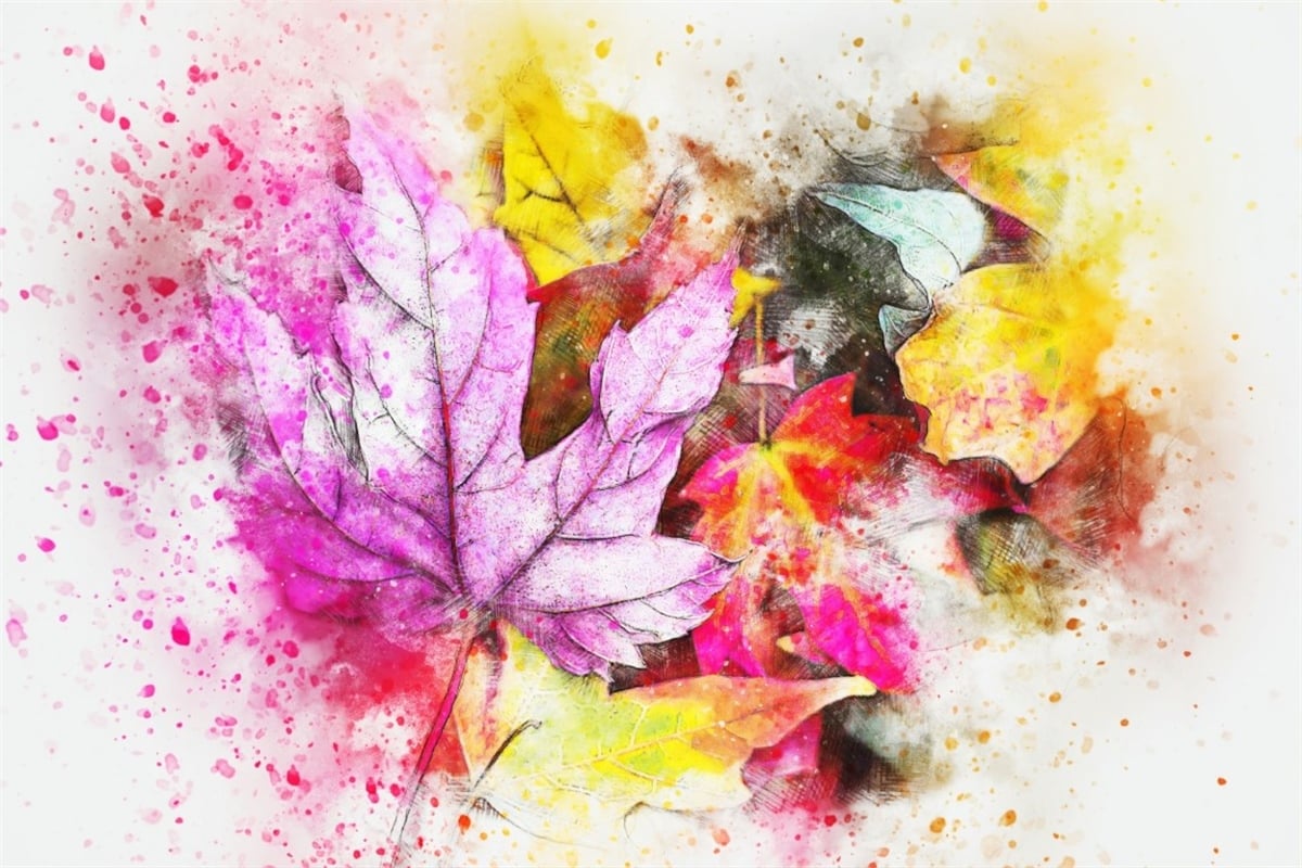 Çiçek Duvar Kağıtari 3Çiçek Duvar Kağıdı