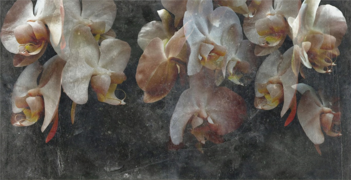 Çiçek Duvar Kağıtları 1Çiçek Duvar Kağıdı