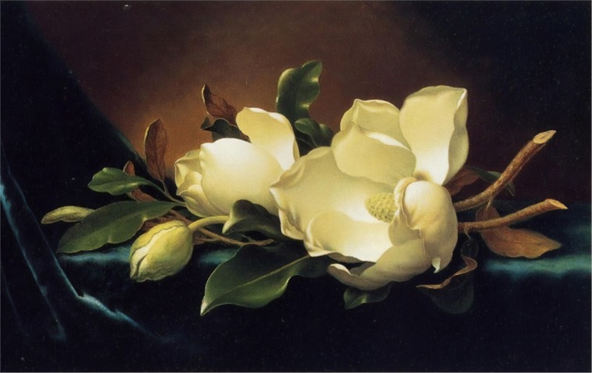 Çiçek Duvar Kağıtları 1Çiçek Duvar Kağıdı