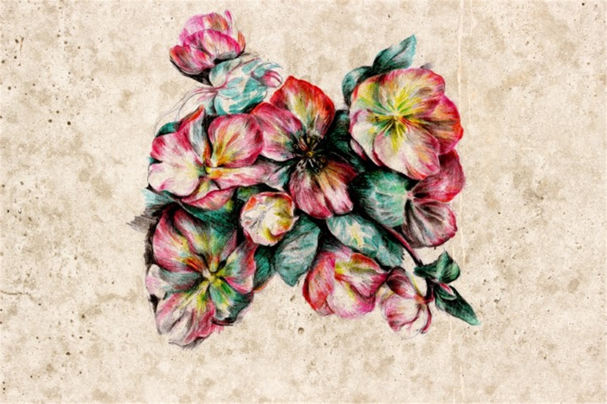 Çiçek Duvar Kağıtları 2Çiçek Duvar Kağıdı