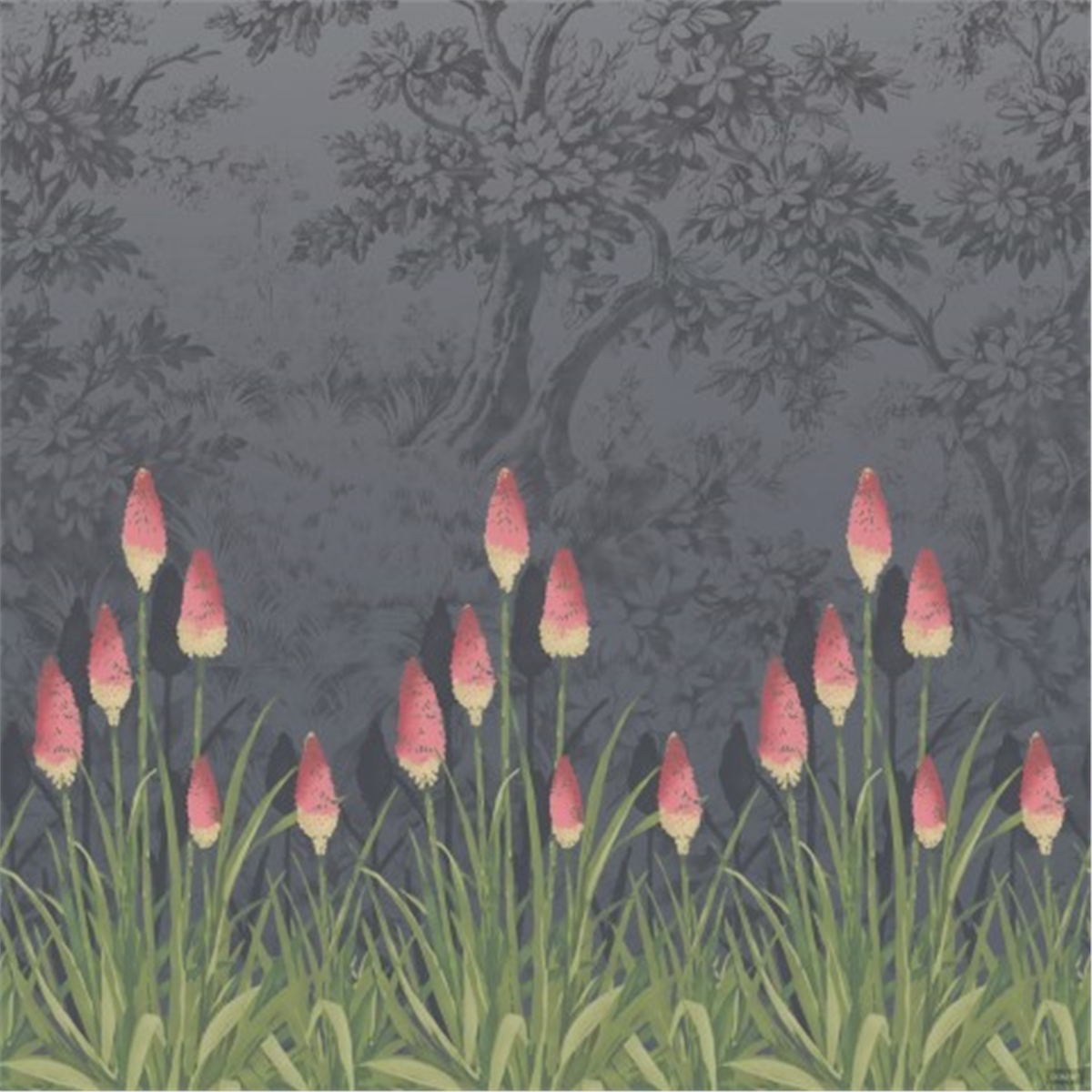 Çiçek Duvar Kağıtları 2Çiçek Duvar Kağıdı