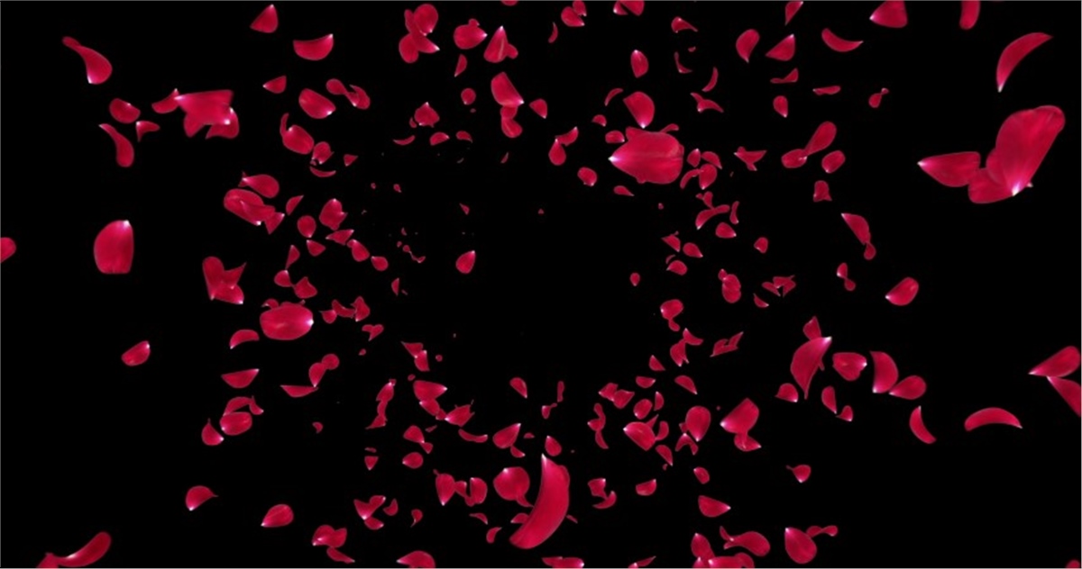 Çiçek Duvar Kağıtları 2Çiçek Duvar Kağıdı