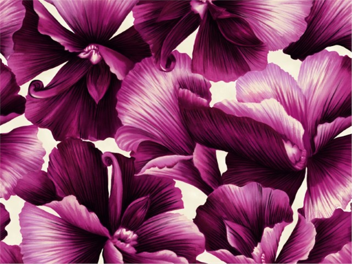 Çiçek Duvar Kağıtları 1Çiçek Duvar Kağıdı