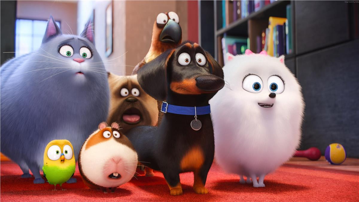 Cartoon NetworkÇizgi Film Duvar Kağıdı