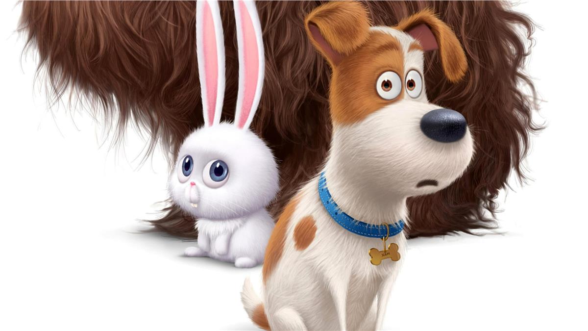 Cartoon NetworkÇizgi Film Duvar Kağıdı