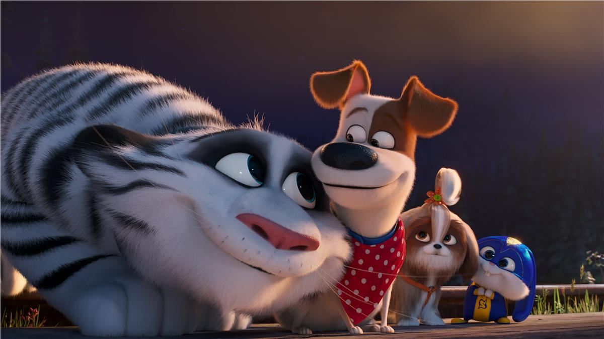 Cartoon NetworkÇizgi Film Duvar Kağıdı