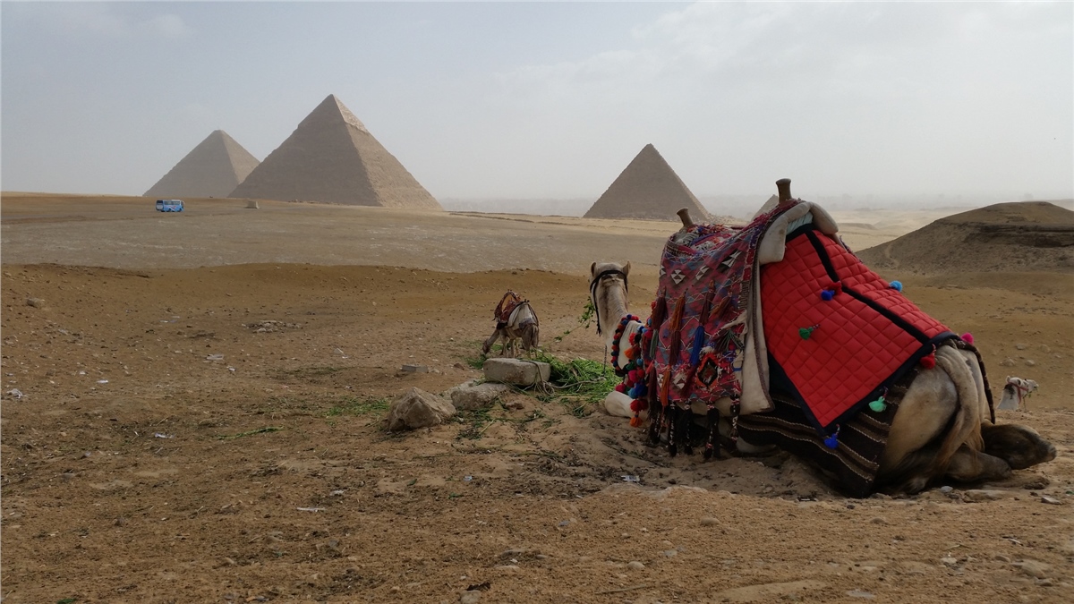 Çöl Duvar KağıtlarıÇöl Duvar Kağıdı