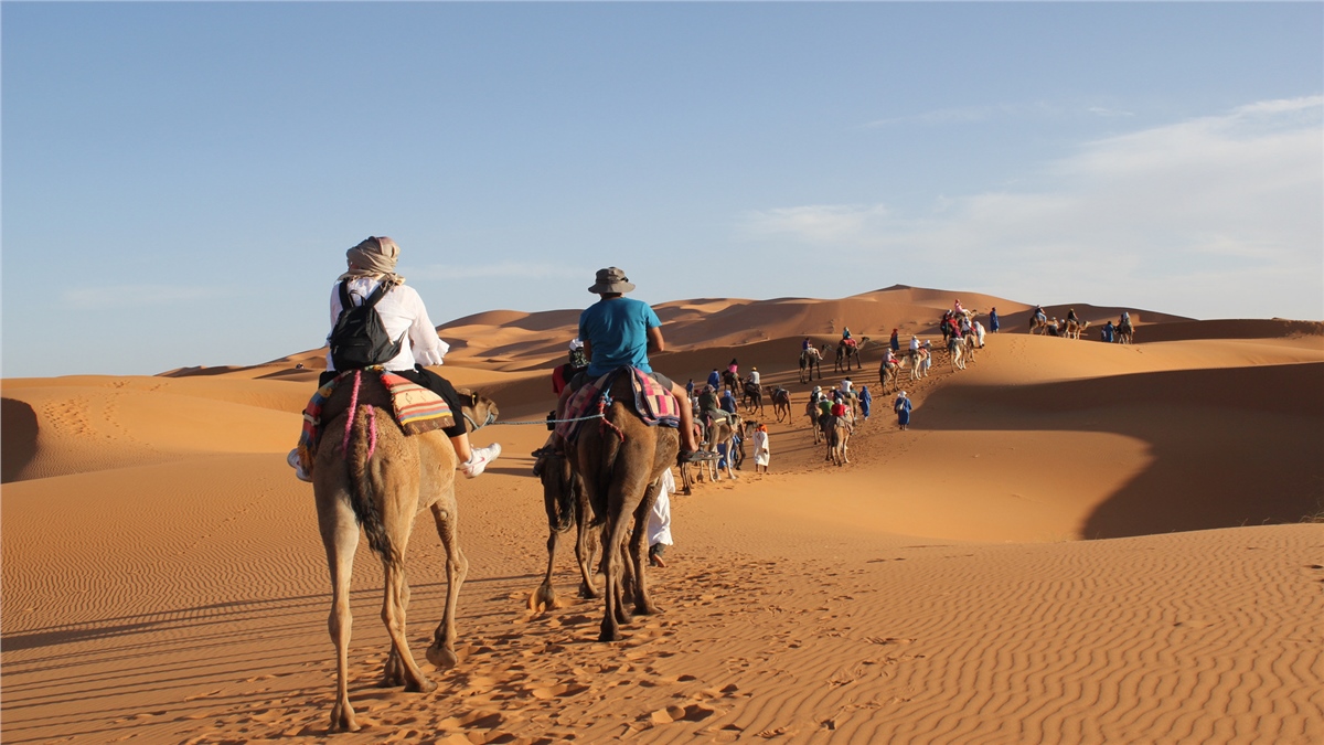 Çöl Duvar KağıtlarıÇöl Duvar Kağıdı