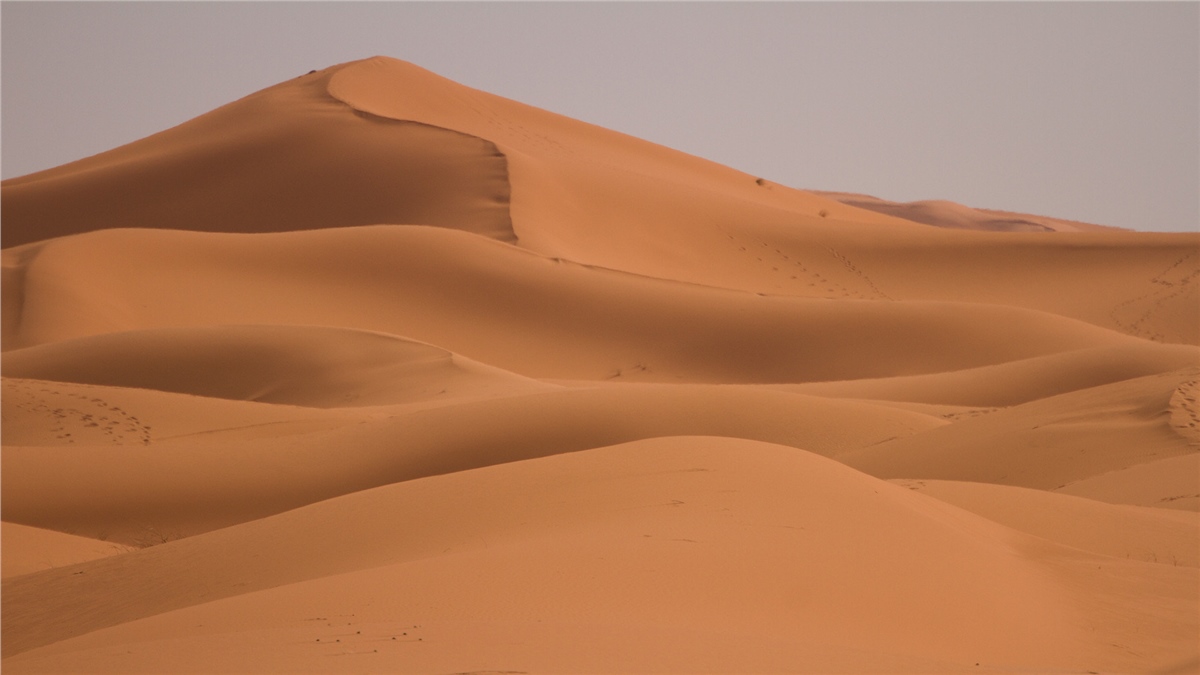 Çöl Duvar KağıtlarıÇöl Duvar Kağıdı