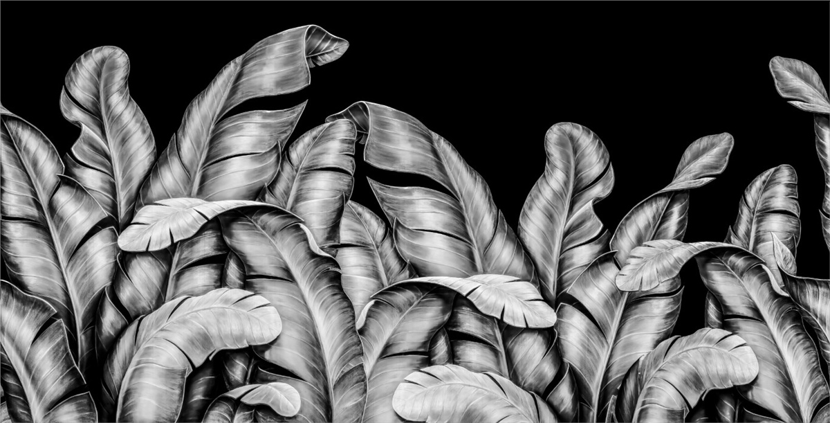 Tüy ve Yaprak Duvar KağıtlarıDuvar Kağıdı