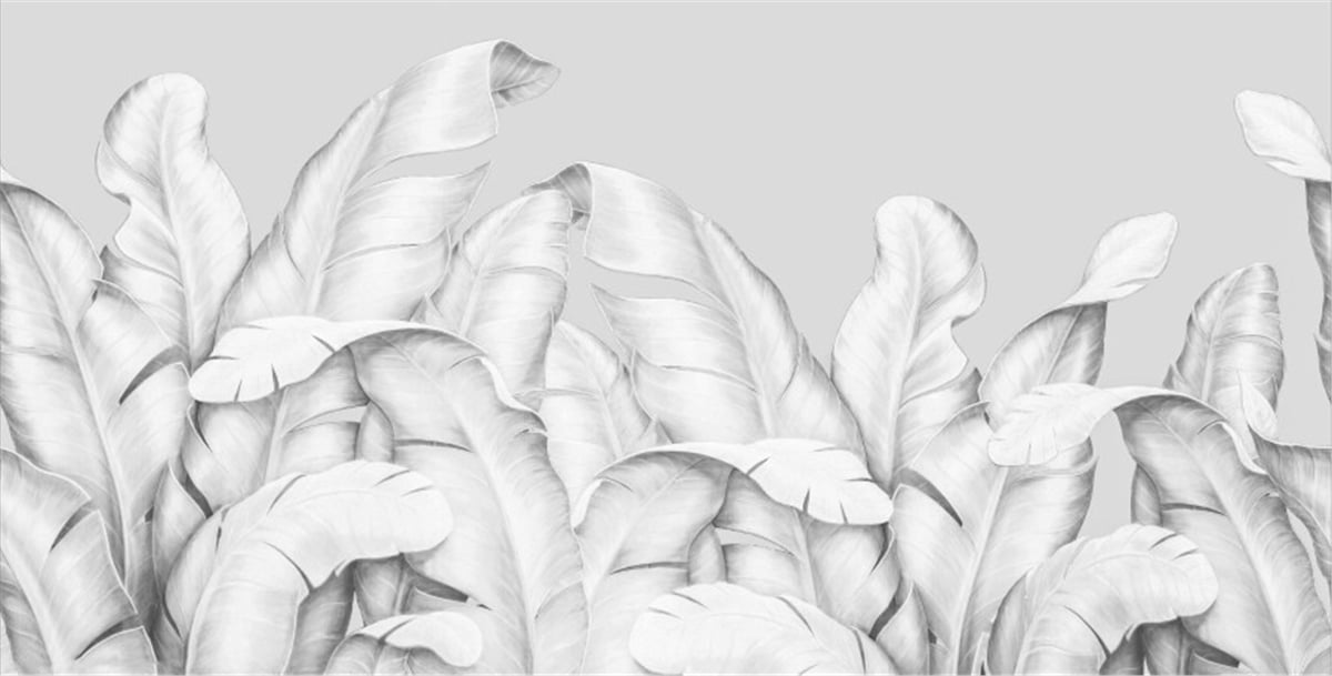 Tüy ve Yaprak Duvar KağıtlarıDuvar Kağıdı