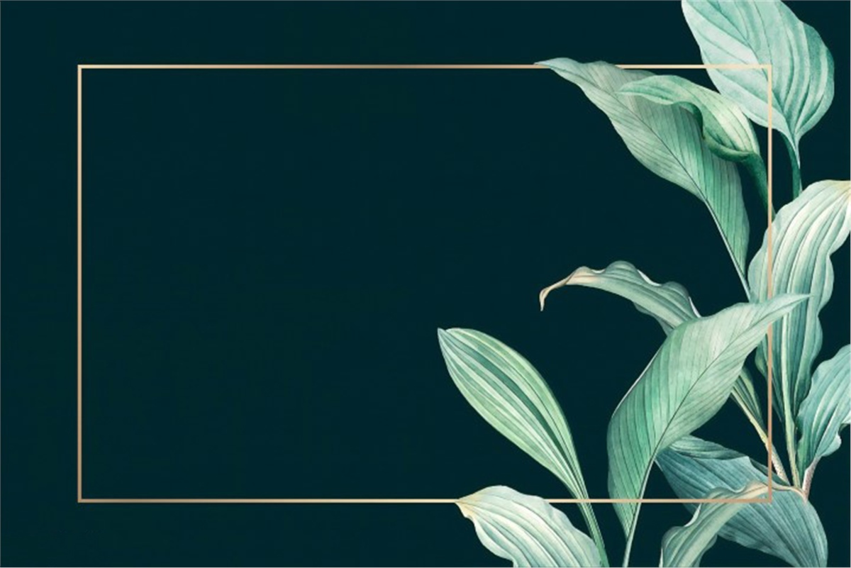 Tüy ve Yaprak Duvar KağıtlarıDuvar Kağıdı