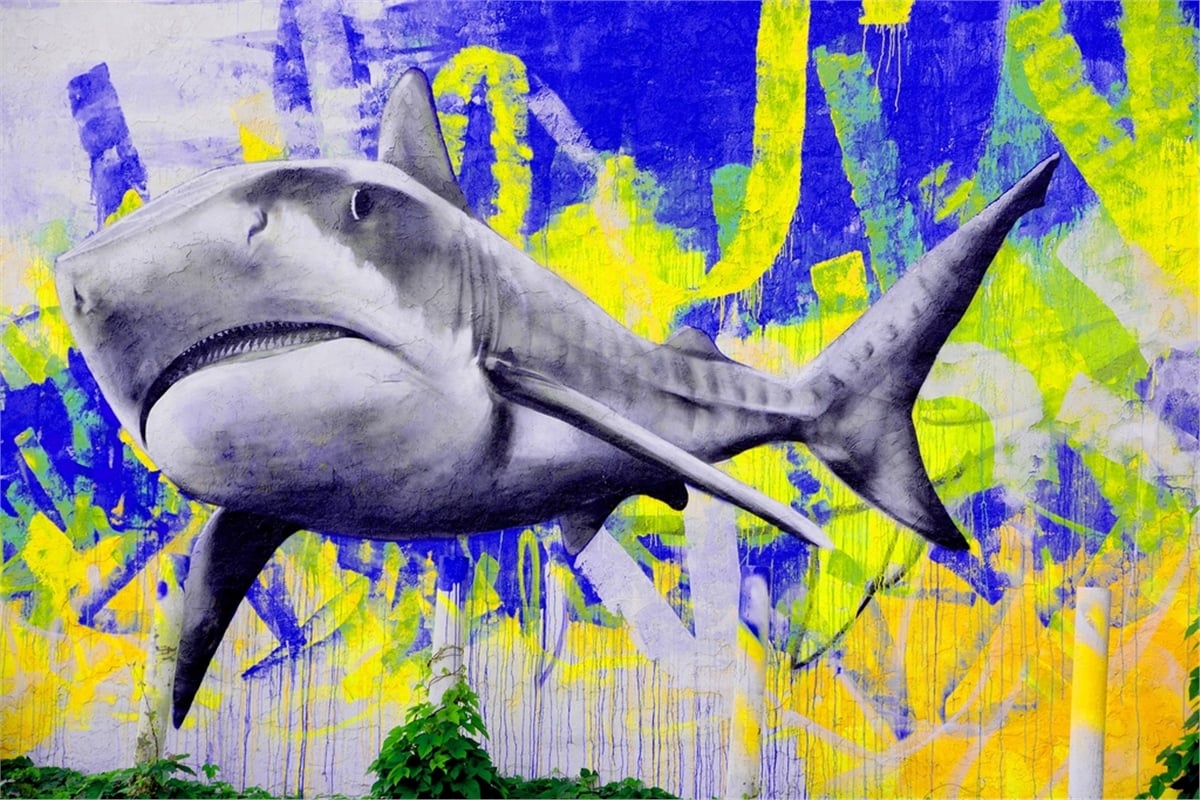 Grafiti   Duvar KağıtlarıGrafiti Duvar Kağıdı