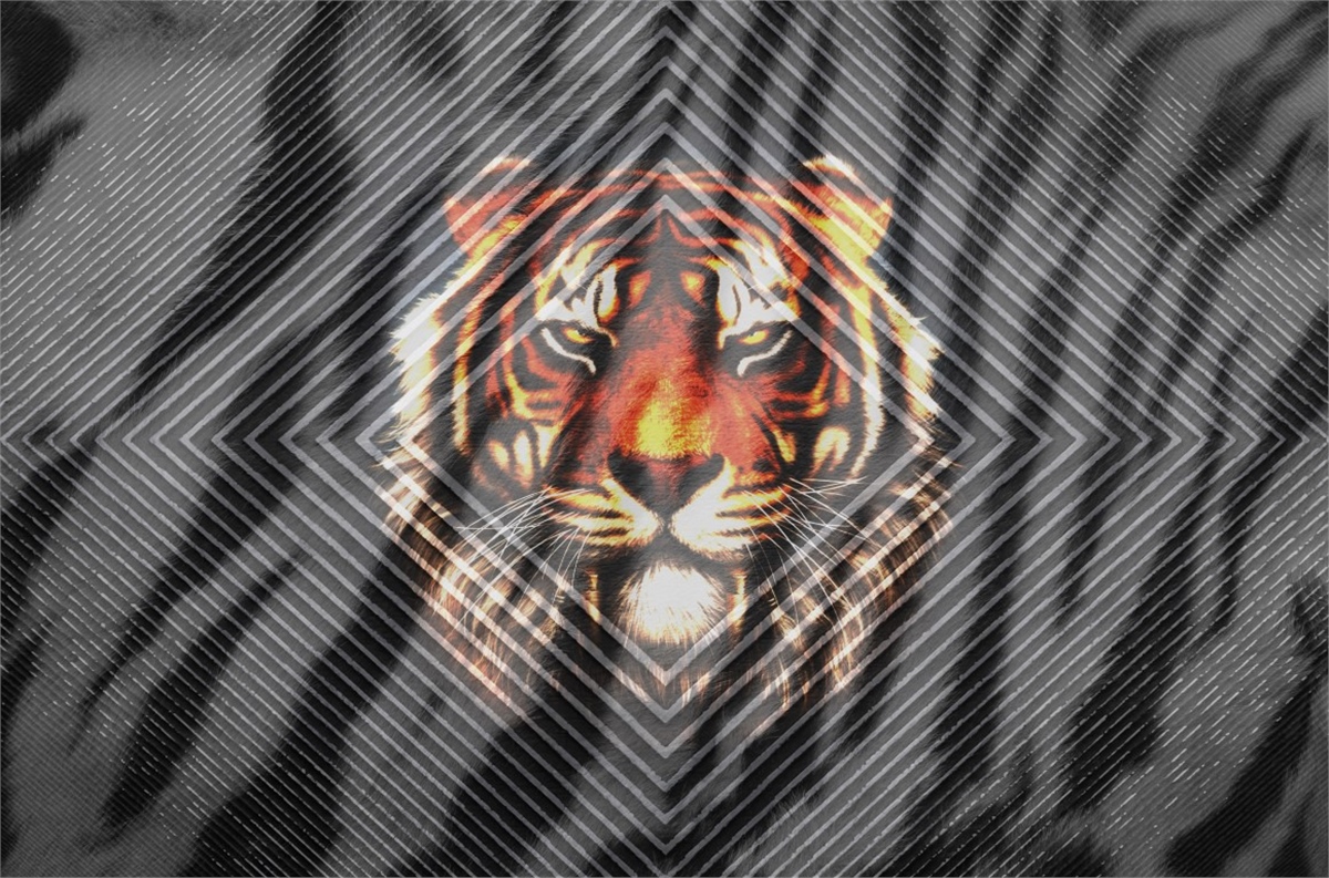 Hayvanlar Duvar KağıdıHayvanlar Duvar Kağıdı