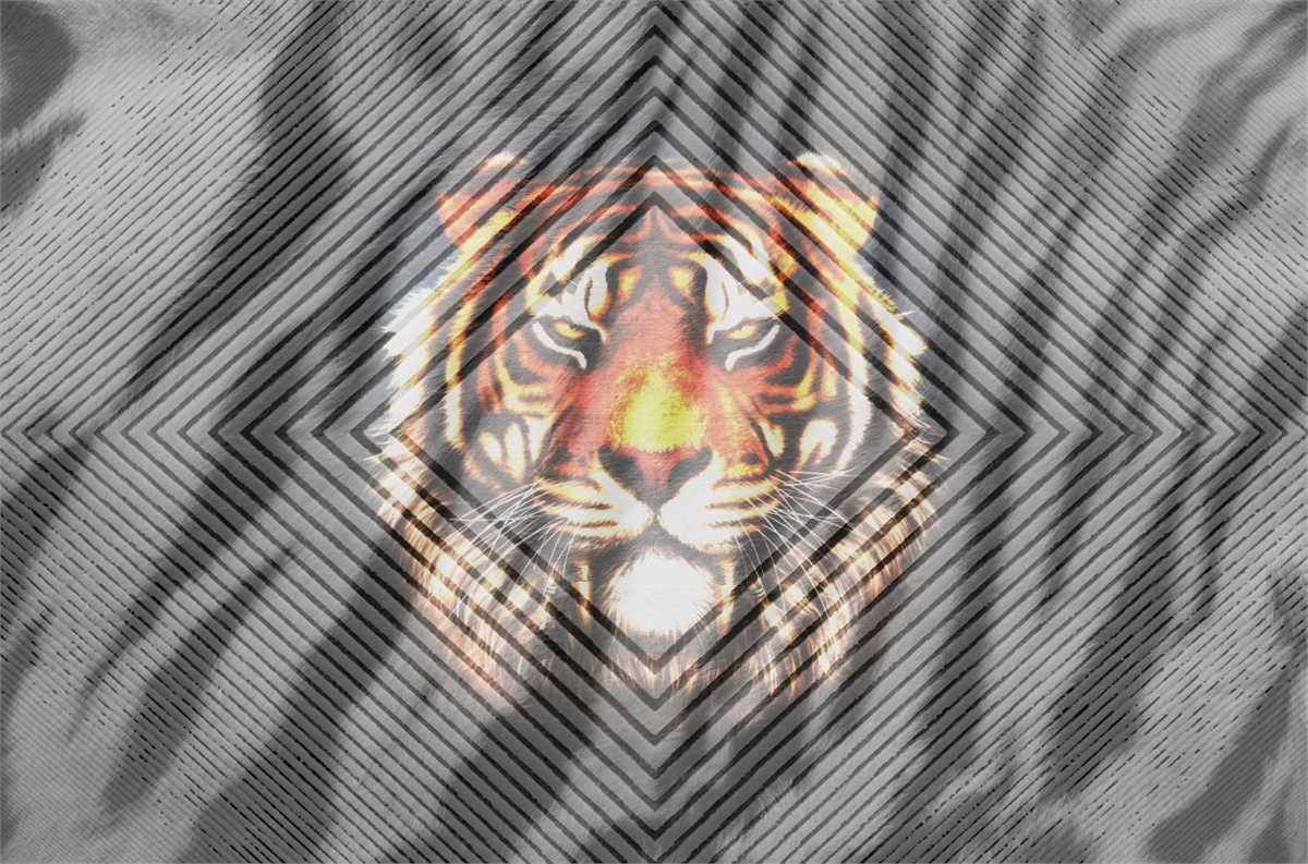 Hayvanlar Duvar KağıdıHayvanlar Duvar Kağıdı