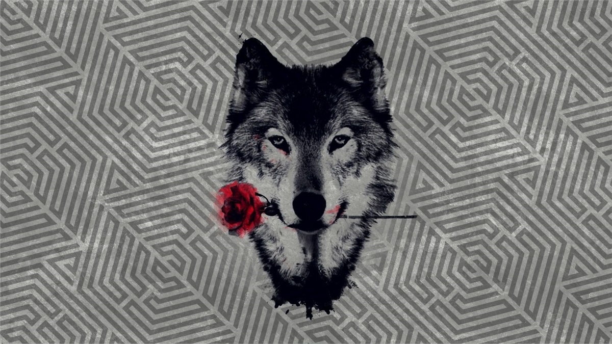 Hayvanlar Duvar KağıdıHayvanlar Duvar Kağıdı